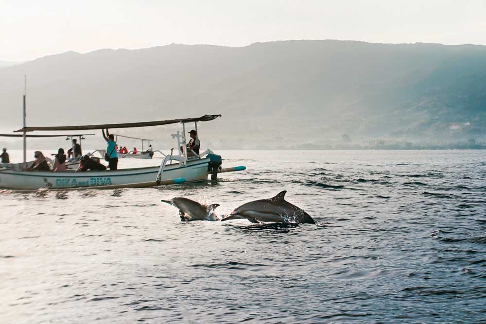 golfinhos em Lovina. Para quem busca o que fazer na ilha de bali, observar essas criaturas lindas pode ser um bom atrativo