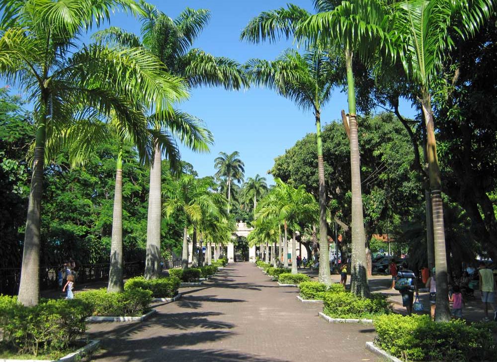 Corredor de palmeiras, durante o dia, localizado na Quinta da Boa Vista, um parque com diversos atrativos para quem procura o que fazer no Rio de Janeiro