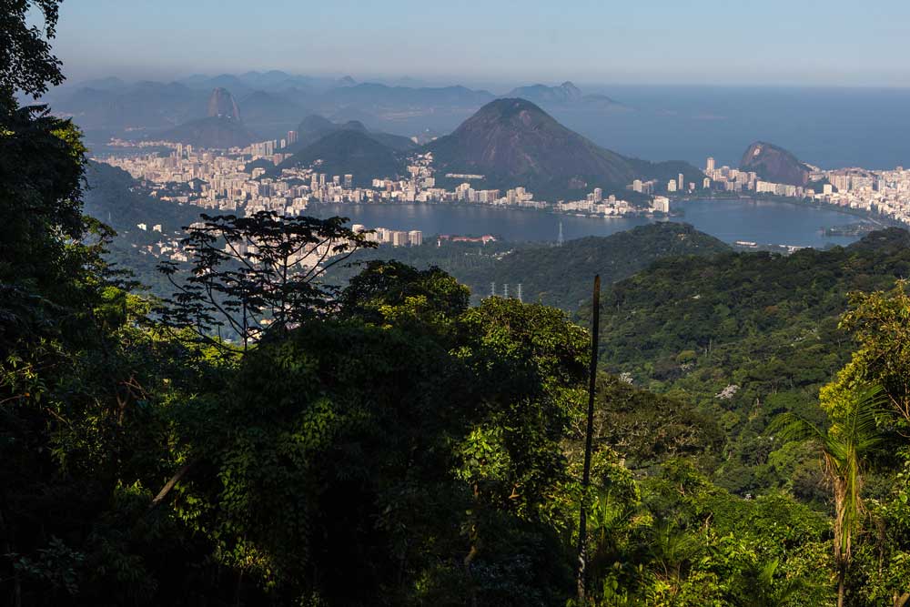 Vista panorâmica de árvores em flores, ao fundo, mar e montanhas da cidade do Rio de Janeiro, durante o dia