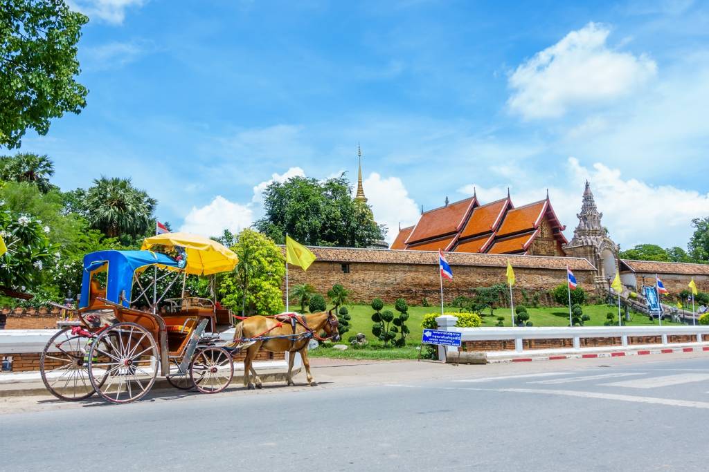 Cavalo marrom puxa uma carroça em uma estrada, ao lado de gramado em árvores, durante o dia em Lampang a terceira maior cidade da Tailândia