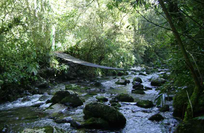 Em um dia de sol, rio do Parque das 8 cachoeiras com pedras, ponte e árvores ao redor