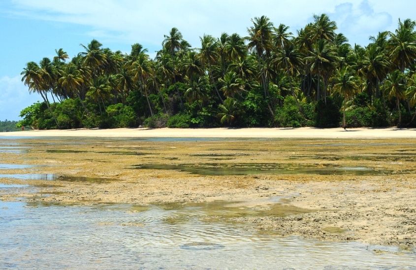 mar, areia e coqueiros em Praia da Boca da Barra, uma opção para quem busca o que fazer em Boipeba