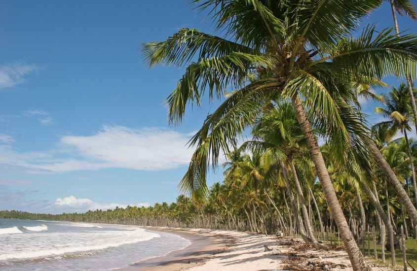 mar, areia e coqueiros em dia ensolarado em Praia de Bainema, um bom atrativo para quem busca o que fazer em Boipeba