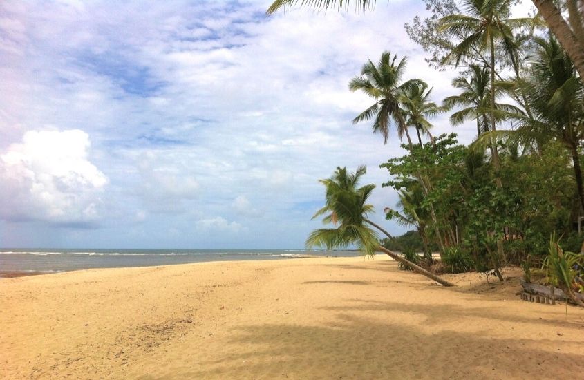areia vazia e coqueiros em praia Tassamirim, um destino para quem busca o que fazer em Boipeba