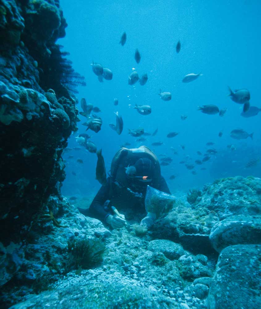 mergulhador rodeado de peixes em mar de morro de sao paulo