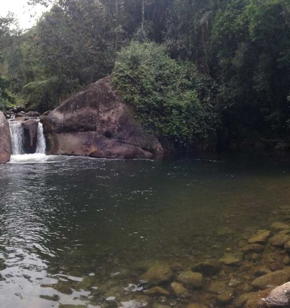 cachoeira e árvores em Visconde de Mauá