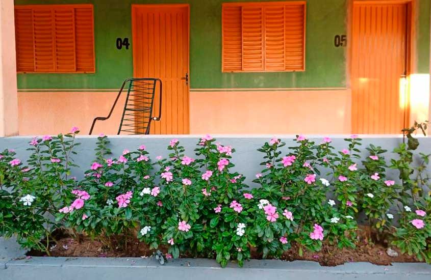 plantas e flores rosas em frente a varanda com cadeira em pousada do paulim
