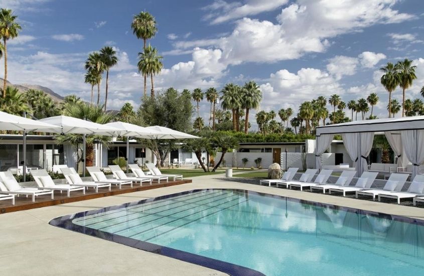 piscina rodeada e espreguiçadeiras, com coqueiros ao fundo, durante o dia em l'horizon, um dos hotéis mais bonitos do mundo na califórnia