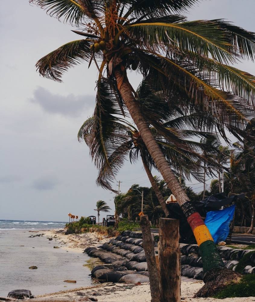 coqueiros em praia, durante dia nublado, na colômbia, um dos lugares mais baratos para viajar na américa do sul