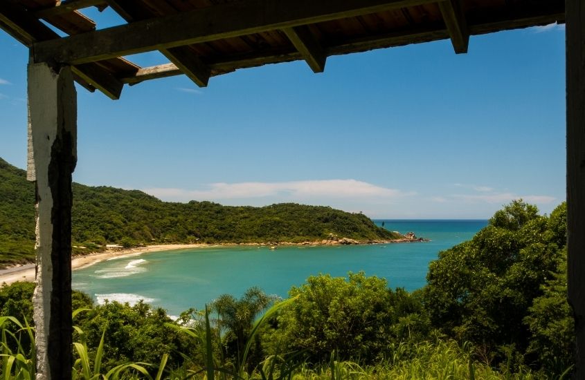 mar, areia e árvores durante o dia em Florianópolis, um ótimo lugar para viagem pelo litoral brasileiro