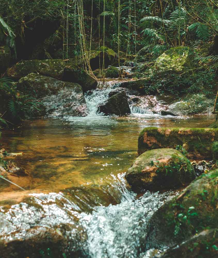 piscina natural de cachoeira cercada de árvores em ouro preto
