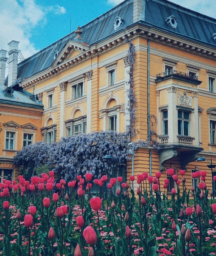 jardim com flores rosas e roxas em frente a um prédio amarelo em sofia, a capital da bulgária