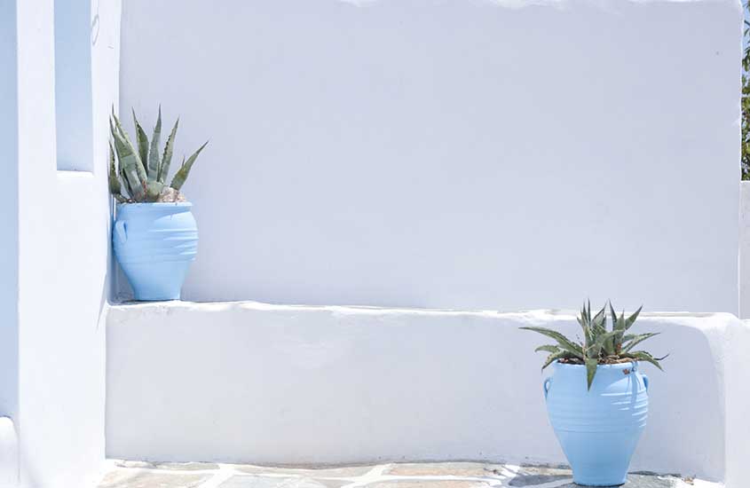 vasos azuis com plantas em frente a parede branca