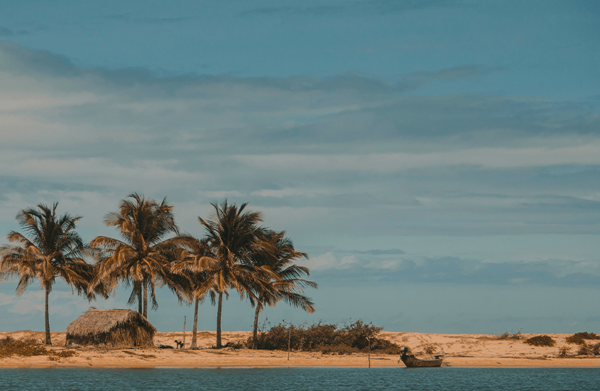 durante o dia, mar azul, e ao fundo, coqueiros em areia de praia do nordeste