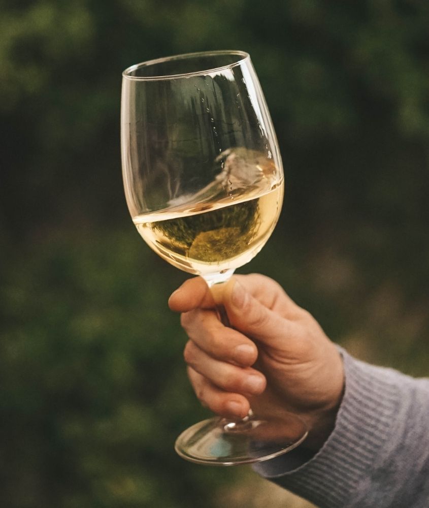 pessoa segura taça de vinho branco durante degustação em vinícolas, um lugar que não pode faltar em um roteiro santorini