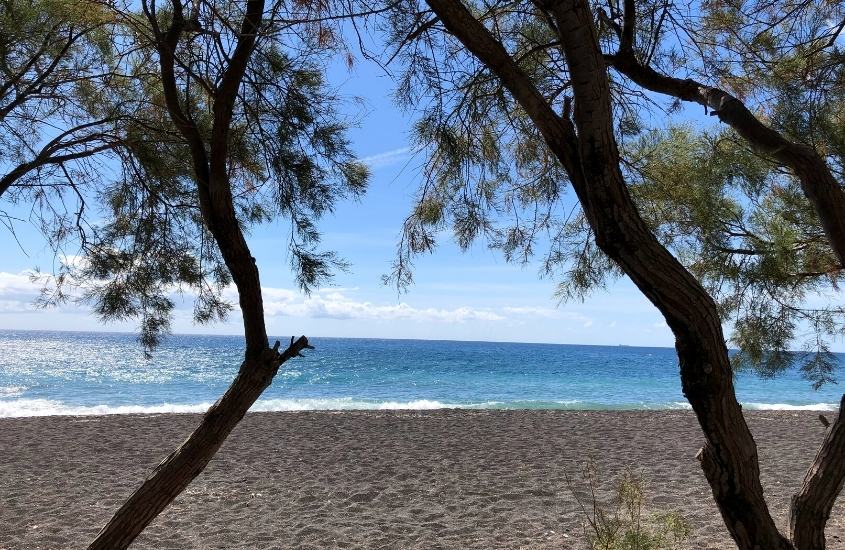 durante dia ensolarado, árvores em praia com areia clara, uma ótima atração para quem busca o que fazer em santorini em 5 dias