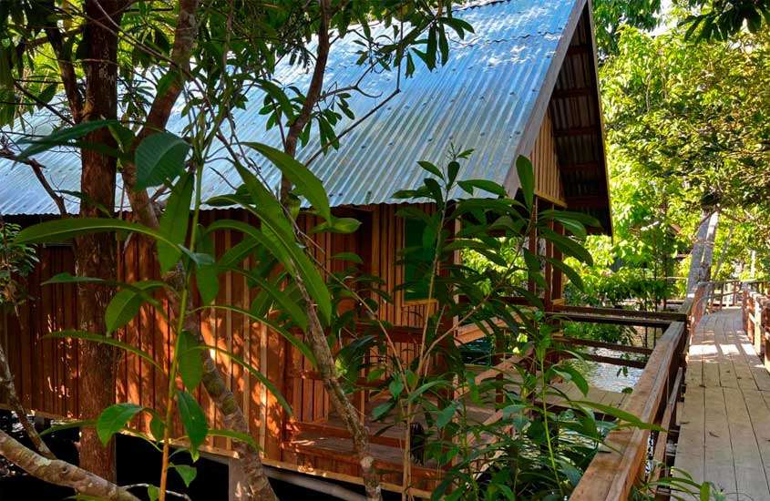 Em um dia de sol, cabana de madeira de um hotel com corredores de madeira e vegetação ao redor