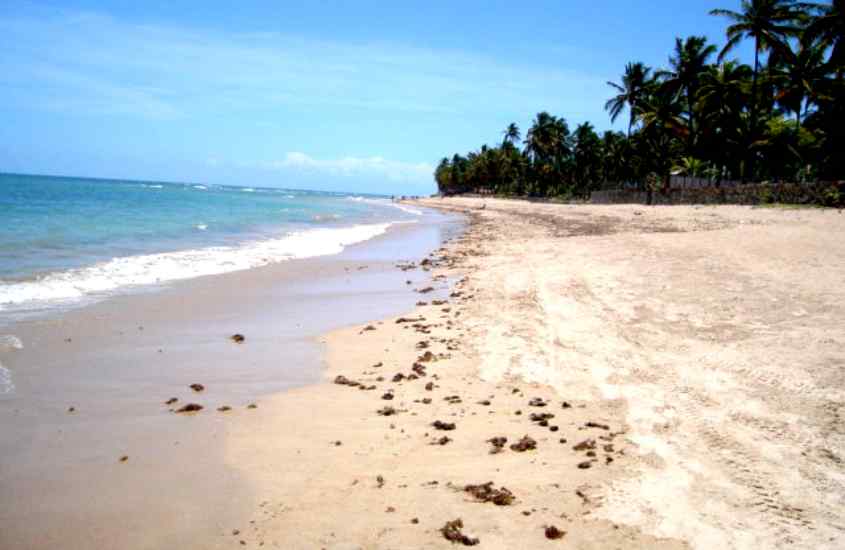 Em uma manhã ensolarada, praia deserta com mar de um lado e árvores do outro