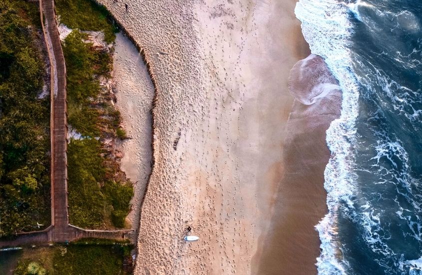 vista aérea de árvores, areia e mar, durante o dia, em ilha do campeche,um dos melhores passeios em florianópolis