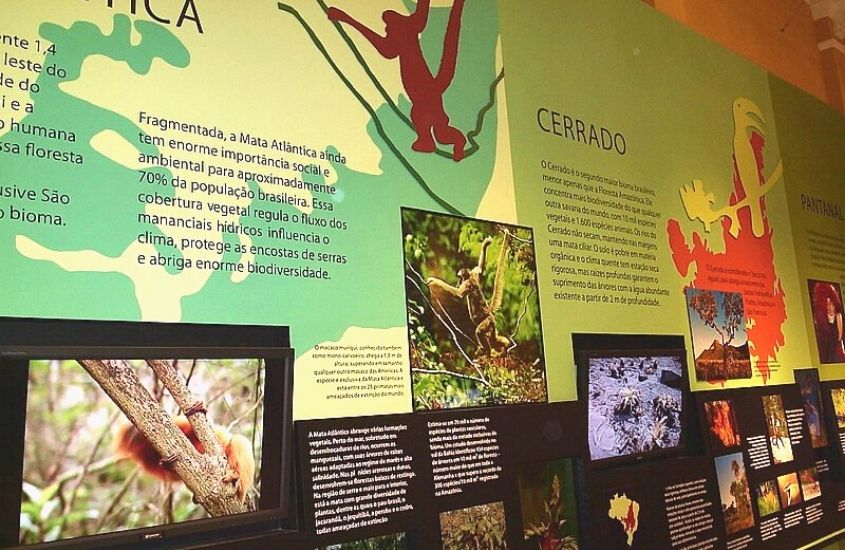 painel de com fotos e textos sobre o cerrado em MUSA (Museu da Amazônia), uma ótima atração para quem busca o que fazer em manaus gastando pouco