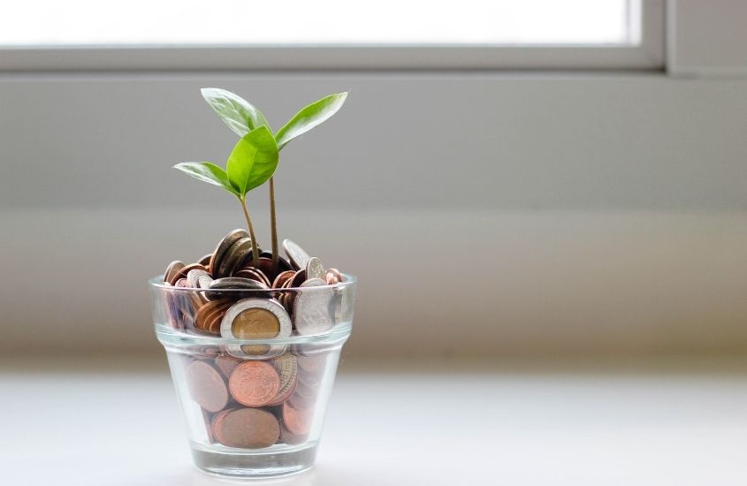 moedas e plantas dentro de pequeno vaso de vidro