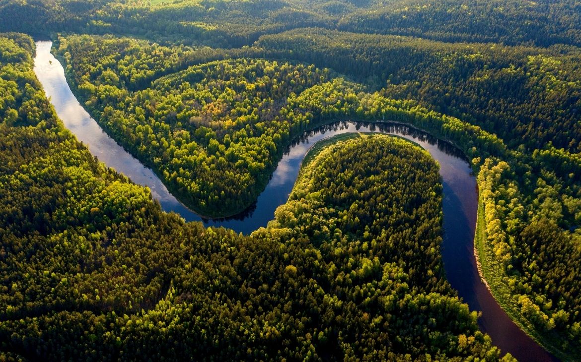 Amvista aérea de rio amazonas, cercado de árvores, durante o diaazônia