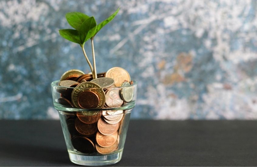 vaso de plantas com moedas dentro
