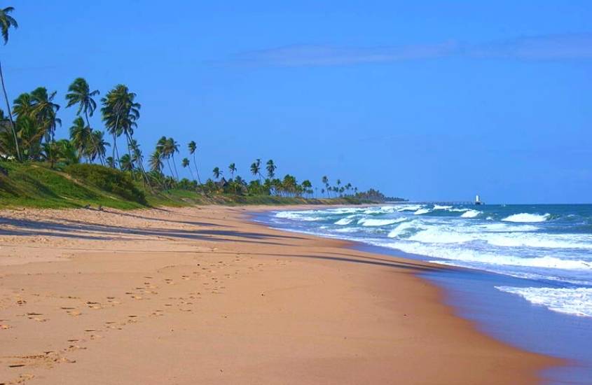 praia vazia cercada por coqueiros durante dia ensolarado