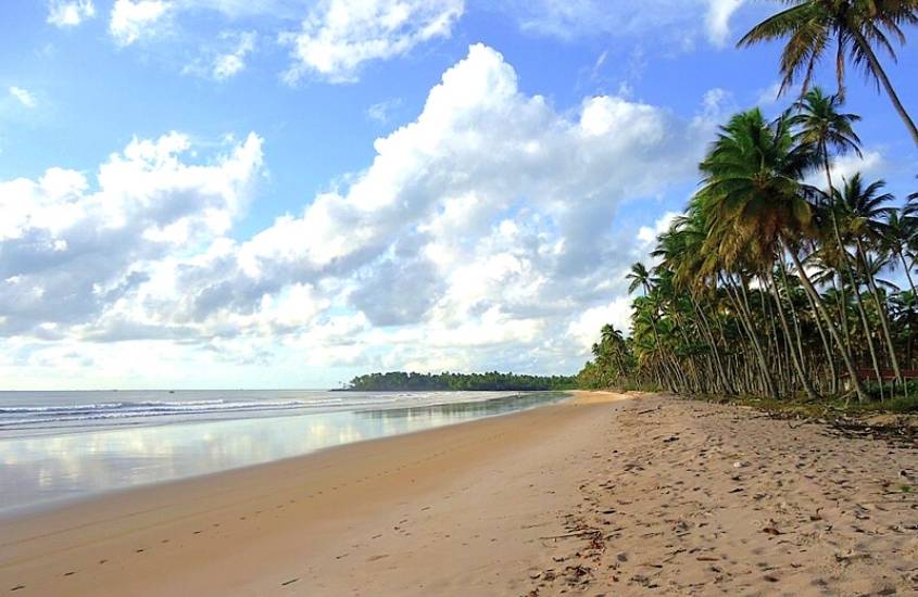 coqueiros em frente a areia e mar, durante o dia, em Cueira, uma das praias mais bonitas da bahia