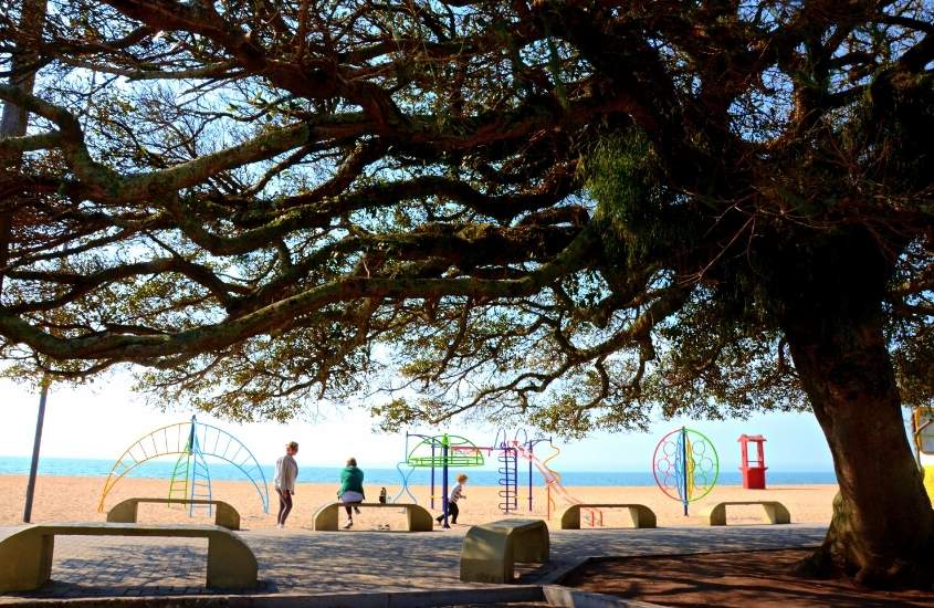 durante o dia, árvore em frente ao parquinho em areia de Praia do Laranjal, uma das praias do rio grande do sul rs