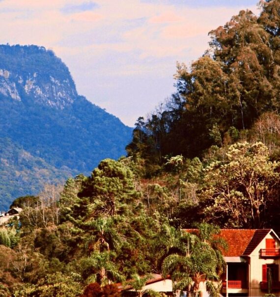 vista panorâmica de casas cercadas de árvores e montanhas, durante entardecer em Caxias do Sul
