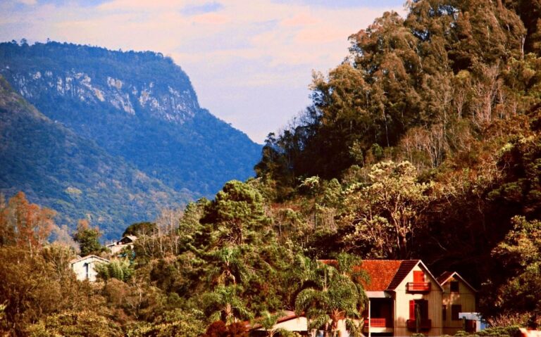 vista panorâmica de casas cercadas de árvores e montanhas, durante entardecer em Caxias do Sul