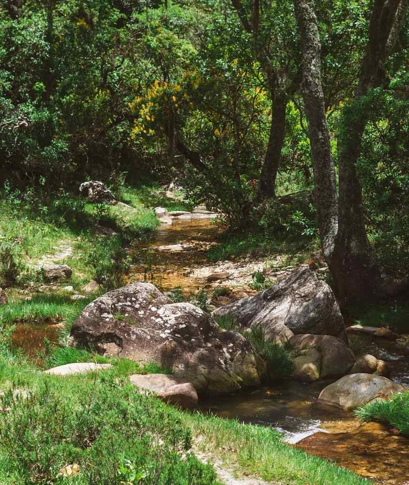 pedras em riacho cercado por árvores, durante o dia em um dos destinos de viagem minas gerais