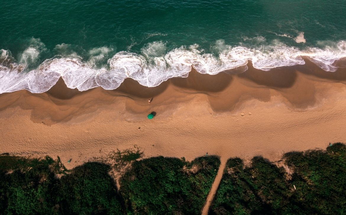 durante o dia, vista aérea de árvores em frente ao mar em praia de Balneário Camboriú SC