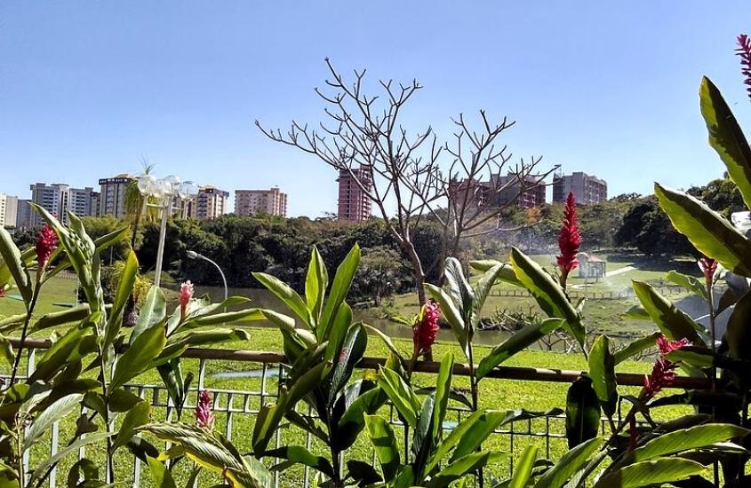 durante o dia, plantas e flores em frente a gramado em parque de caldas novas, um dos lugares em Goiás para viajar