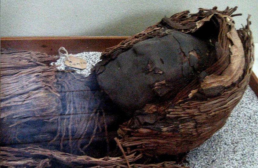 em museu, exposição de múmia do chinchorros, povo da cultura do chile