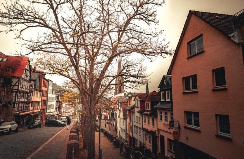 árvore seca em calçada, em frente a casas coloridas, durante o dia em marburg, uma das melhores cidades da alemanha para visitar