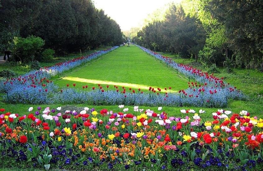 durante o dia, diversas flores em jardim de Cismigiu Gardens, um parque para quem busca o que fazer em bucareste
