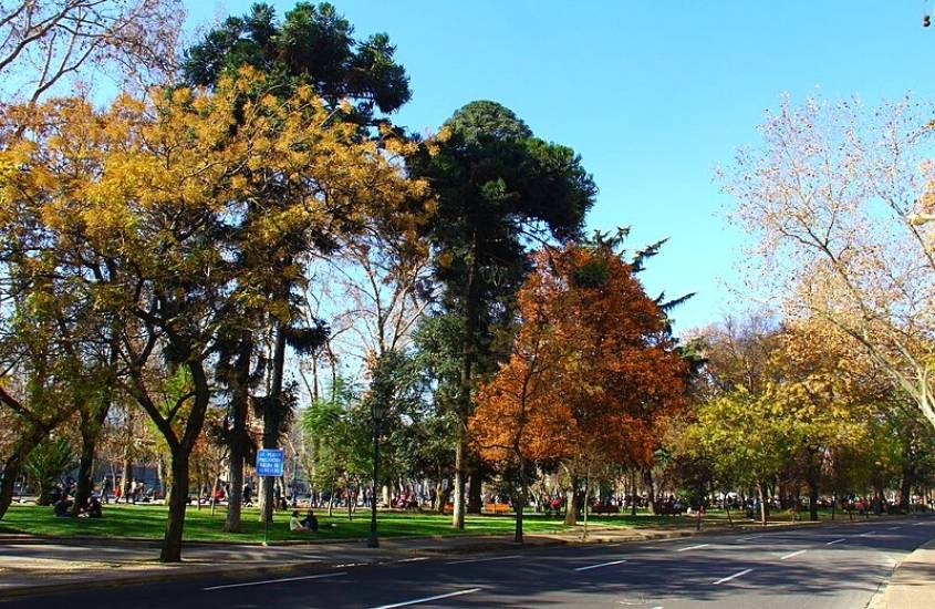 durante o dia, diversas árvores em parque florestal do bairro lastarria, lugar onde se hospedar em santiago do chile