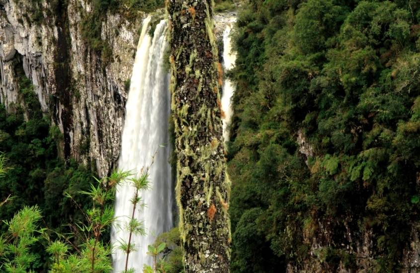 durante o dia, queda d'água de cachoeira cercada por vegetação em cambará do sul, destino para um roteiro serra gaúcha 4 dias