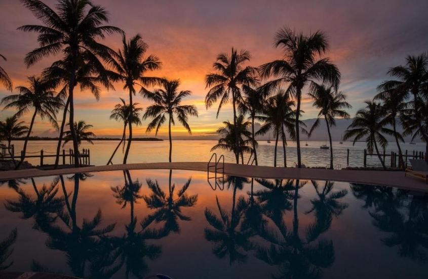 durante entardecer, reflexo do coqueiros em piscina com vista para o mar