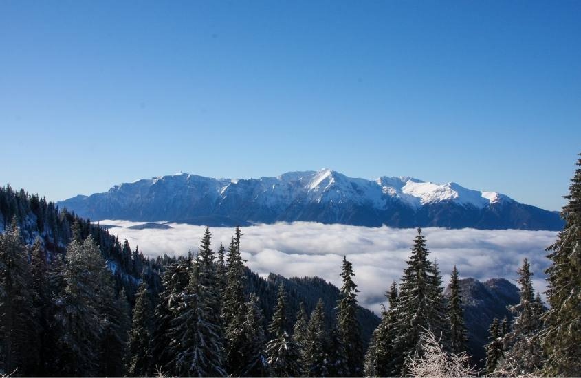durante o dia, pinheiros e ao fundo montanhas cobertas de neve em romenia no inverno