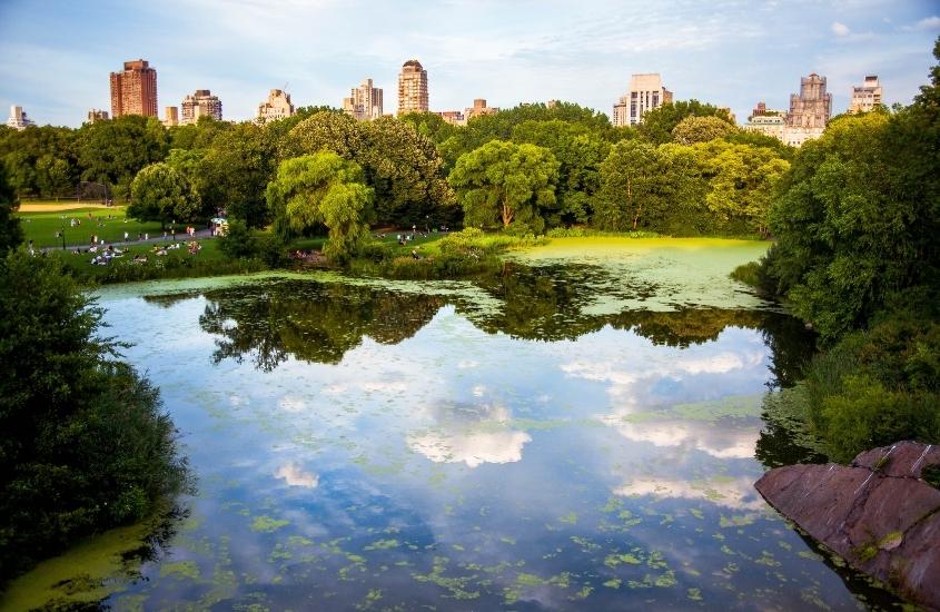 durante o dia, vista panorâmica de reflexo de céu, nuvens e árvores em lago de central park, atração para lista de o que fazer nos estados unidos
