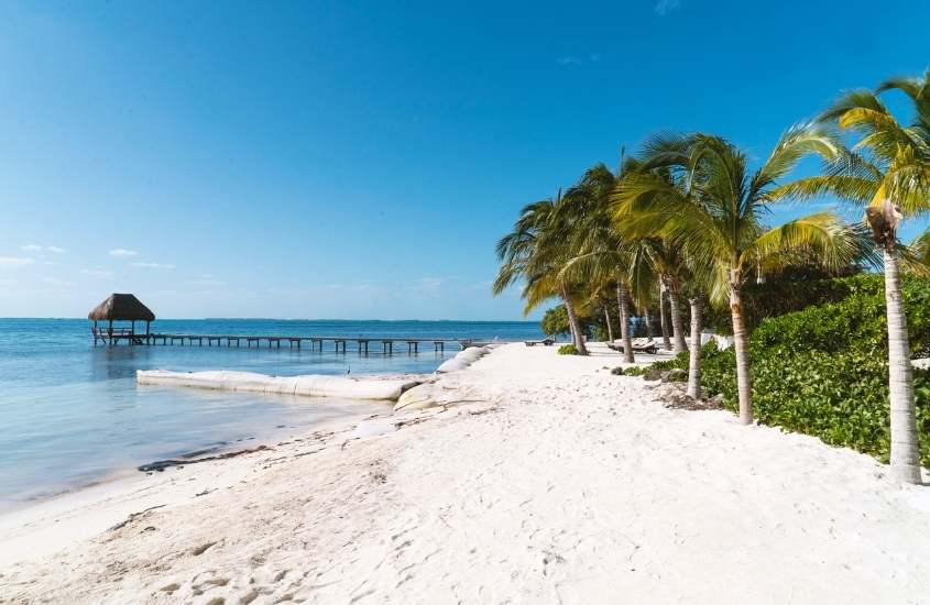 durante o dia, coqueiros em areia em frente ao mar, atração para quem busca o que fazer em Cancún