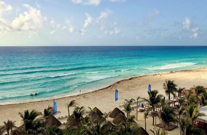 durante o dia, coqueiros em areia em frente a mar azul de uma das praias em cancún