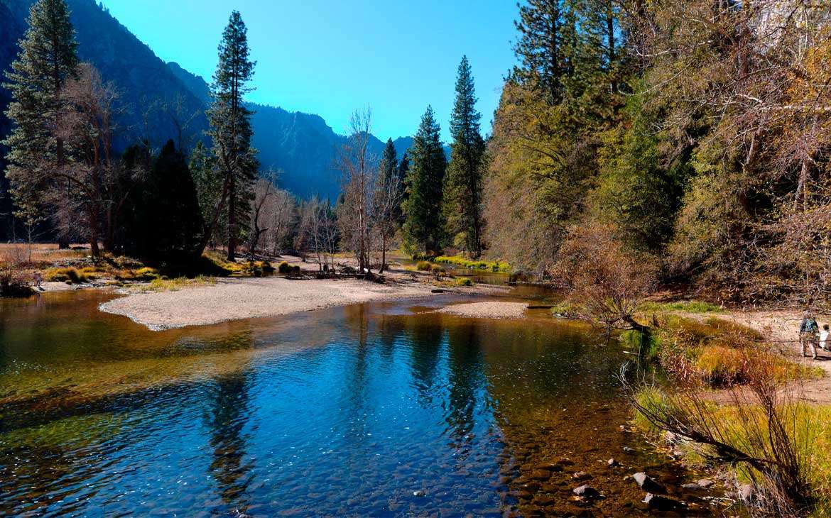 durante o dia, árvores ao redor de lago em Yosemite