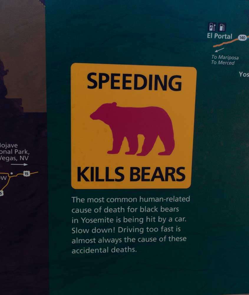 Placa informativa do Parque Nacional Yosemite