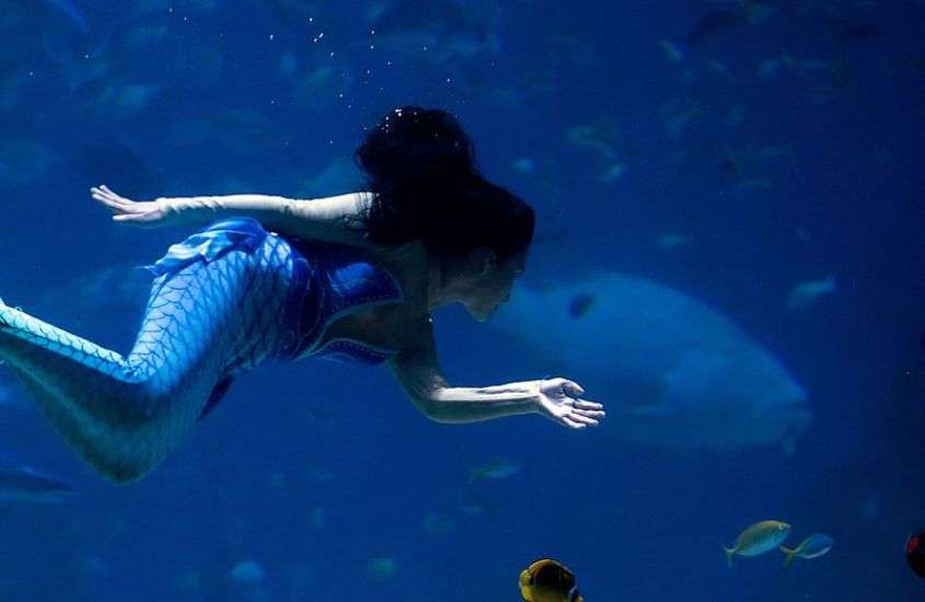 mulher vestida com calda de sereia, nadando em aquário