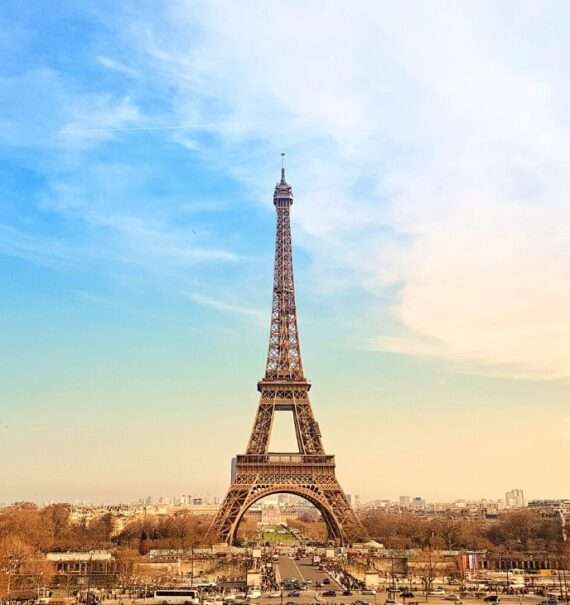 durante o dia, árvores secas ao redor de Torre Eiffel, torre de treliça de ferro
