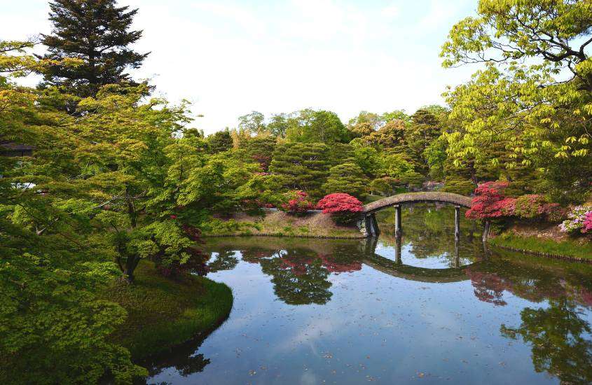 durante o dia, árvores ao redor de lago em palácio imperial, parque para quem busca o que fazer em Tokyo